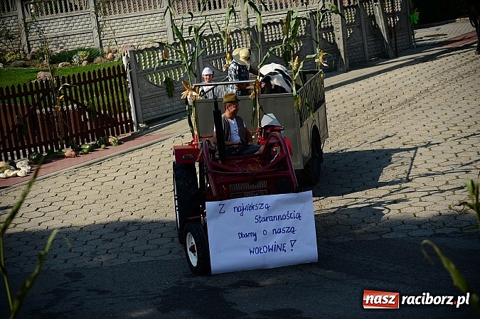 Zdjęcie w galerii na portalu naszraciborz.pl: Borucińskie dożynki raz jeszcze - foto i wideo wiadomości z regionu