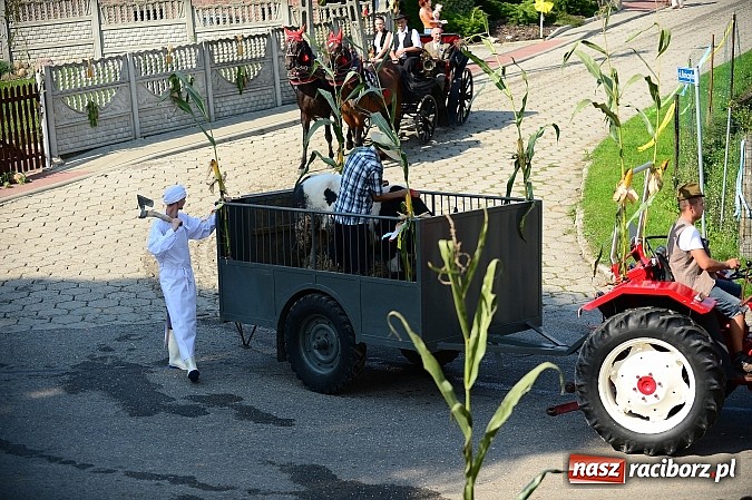 Zdjęcie w galerii na portalu naszraciborz.pl: Borucińskie dożynki raz jeszcze - foto i wideo wiadomości z regionu