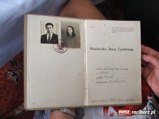 Zdjęcie w galerii na portalu naszraciborz.pl: Nie przesadza się starych drzew... wiadomości z regionu