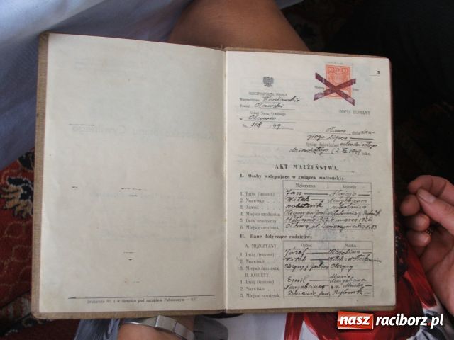 Zdjęcie w galerii na portalu naszraciborz.pl: Nie przesadza się starych drzew... wiadomości z regionu