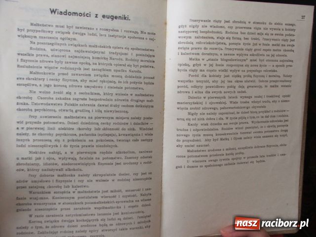Zdjęcie w galerii na portalu naszraciborz.pl: Nie przesadza się starych drzew... wiadomości z regionu