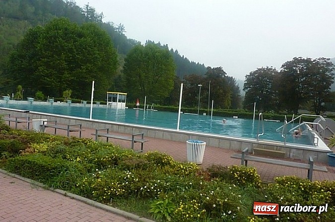 Zdjęcie w galerii na portalu naszraciborz.pl: Pływanie. 123 medale pływaków Victorii  wiadomości z regionu