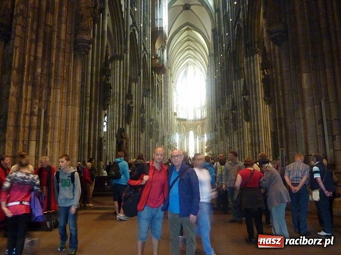 Zdjęcie w galerii na portalu naszraciborz.pl: Pływanie. 123 medale pływaków Victorii  wiadomości z regionu