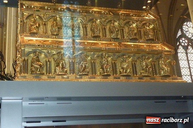 Zdjęcie w galerii na portalu naszraciborz.pl: Pływanie. 123 medale pływaków Victorii  wiadomości z regionu