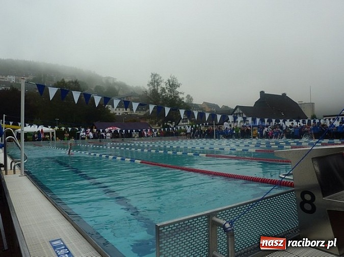 Zdjęcie w galerii na portalu naszraciborz.pl: Pływanie. 123 medale pływaków Victorii  wiadomości z regionu
