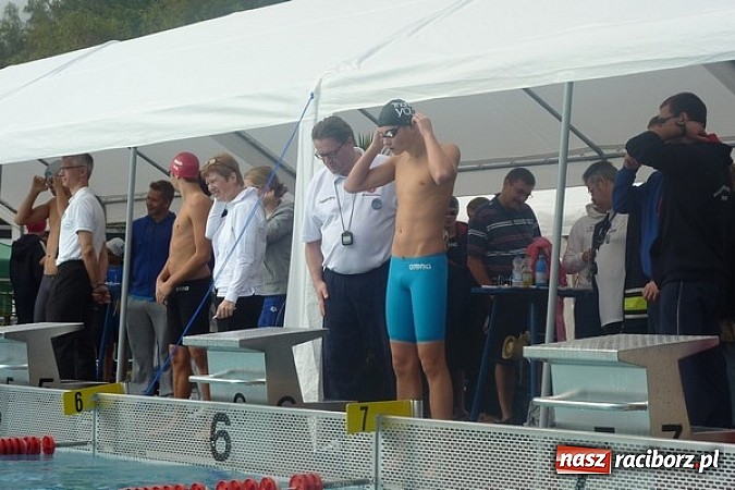 Zdjęcie w galerii na portalu naszraciborz.pl: Pływanie. 123 medale pływaków Victorii  wiadomości z regionu