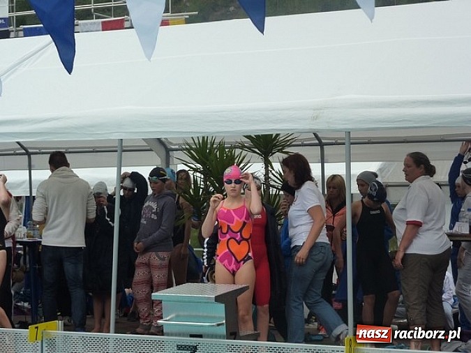 Zdjęcie w galerii na portalu naszraciborz.pl: Pływanie. 123 medale pływaków Victorii  wiadomości z regionu