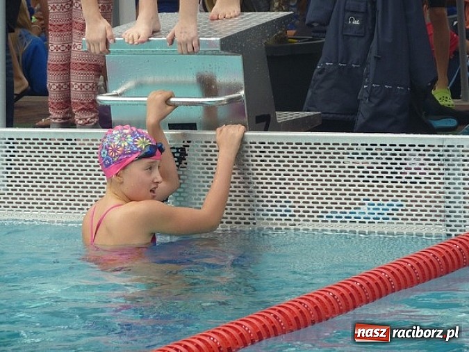 Zdjęcie w galerii na portalu naszraciborz.pl: Pływanie. 123 medale pływaków Victorii  wiadomości z regionu