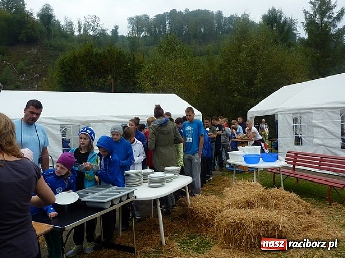 Zdjęcie w galerii na portalu naszraciborz.pl: Pływanie. 123 medale pływaków Victorii  wiadomości z regionu