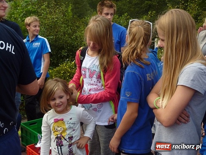 Zdjęcie w galerii na portalu naszraciborz.pl: Pływanie. 123 medale pływaków Victorii  wiadomości z regionu
