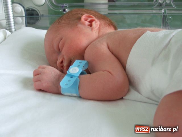 Zdjęcie w galerii na portalu naszraciborz.pl: Takie małe krasnoludki... wiadomości z regionu