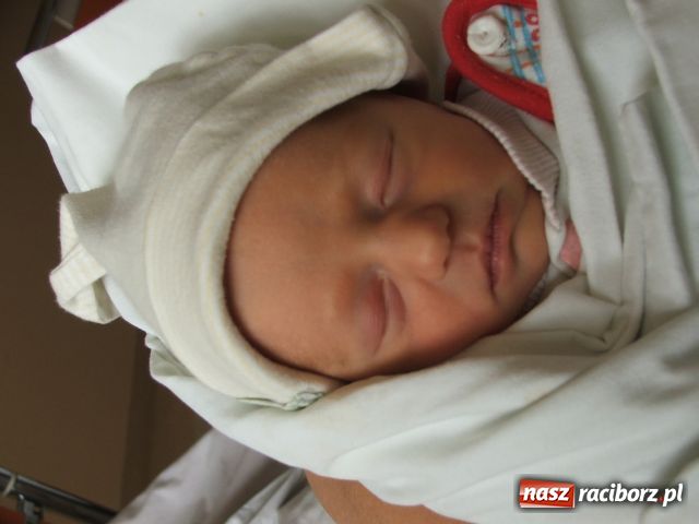 Zdjęcie w galerii na portalu naszraciborz.pl: Takie małe krasnoludki... wiadomości z regionu