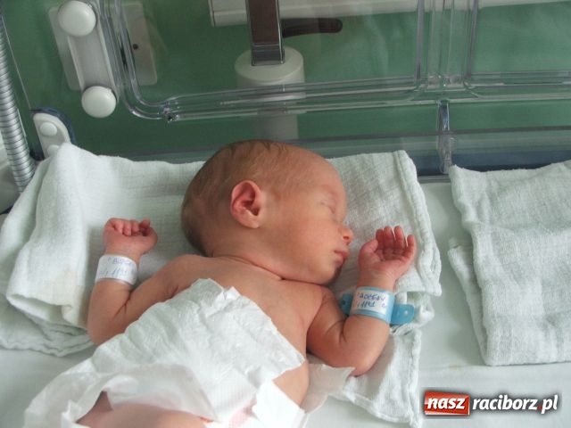 Zdjęcie w galerii na portalu naszraciborz.pl: Takie małe krasnoludki... wiadomości z regionu