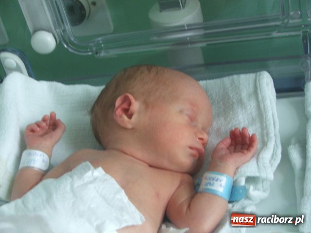 Zdjęcie w galerii na portalu naszraciborz.pl: Takie małe krasnoludki... wiadomości z regionu