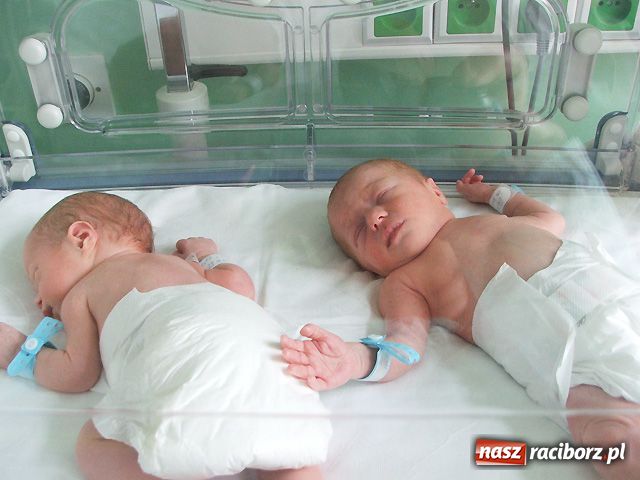 Zdjęcie w galerii na portalu naszraciborz.pl: Takie małe krasnoludki... wiadomości z regionu