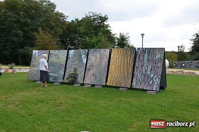 Zdjęcie w galerii na portalu naszraciborz.pl: Wernisaż wystawy Arbores Vitae – Ostatnia taka puszcza  wiadomości z regionu