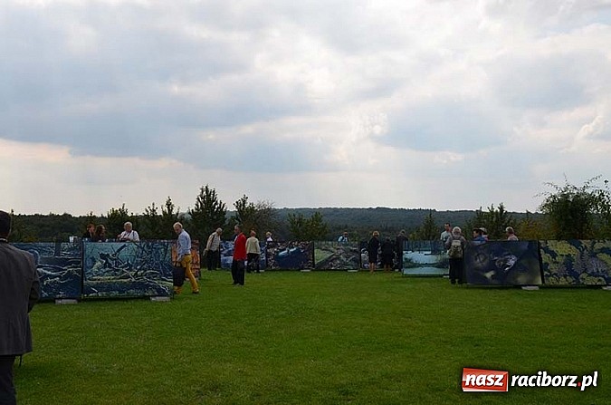 Zdjęcie w galerii na portalu naszraciborz.pl: Wernisaż wystawy Arbores Vitae – Ostatnia taka puszcza  wiadomości z regionu