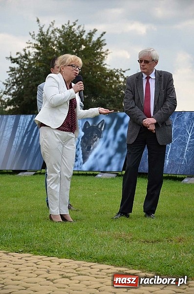 Zdjęcie w galerii na portalu naszraciborz.pl: Wernisaż wystawy Arbores Vitae – Ostatnia taka puszcza  wiadomości z regionu