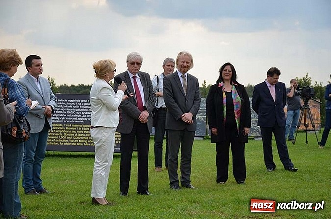 Zdjęcie w galerii na portalu naszraciborz.pl: Wernisaż wystawy Arbores Vitae – Ostatnia taka puszcza  wiadomości z regionu