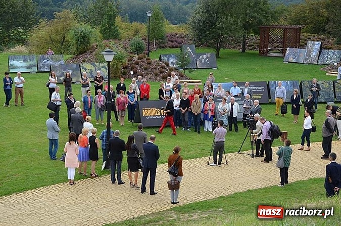 Zdjęcie w galerii na portalu naszraciborz.pl: Wernisaż wystawy Arbores Vitae – Ostatnia taka puszcza  wiadomości z regionu
