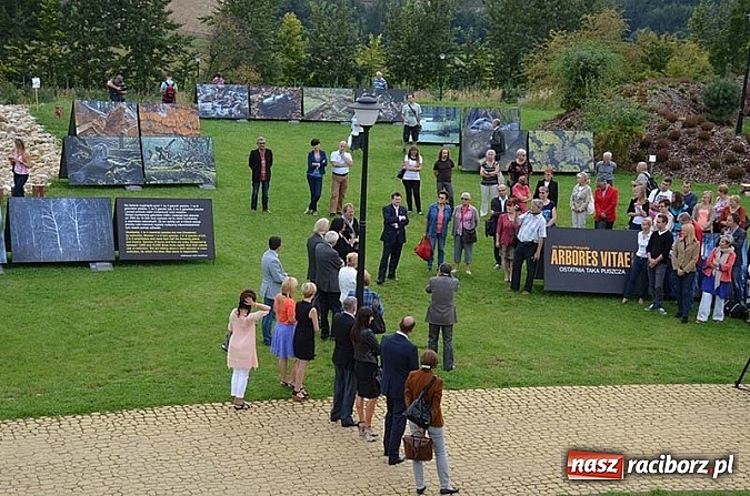 Zdjęcie w galerii na portalu naszraciborz.pl: Wernisaż wystawy Arbores Vitae – Ostatnia taka puszcza  wiadomości z regionu