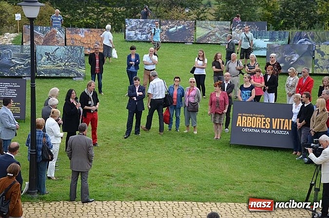 Zdjęcie w galerii na portalu naszraciborz.pl: Wernisaż wystawy Arbores Vitae – Ostatnia taka puszcza  wiadomości z regionu