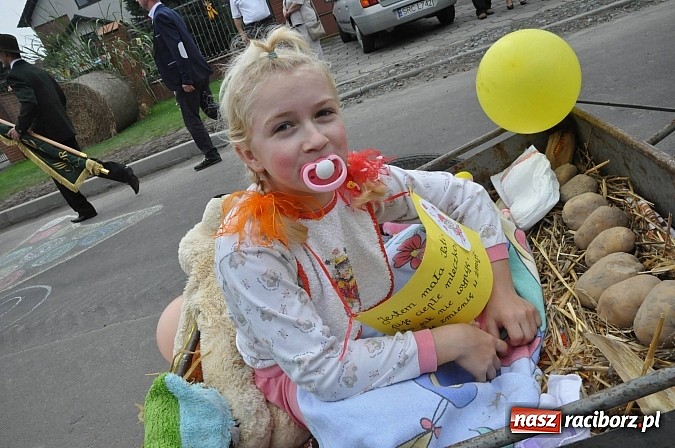 Zdjęcie w galerii na portalu naszraciborz.pl: Korowód jak z Bieńkowic do Raciborza, czyli powiatowe dożynki 2014 wiadomości z regionu