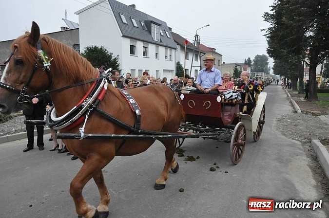 Zdjęcie w galerii na portalu naszraciborz.pl: Korowód jak z Bieńkowic do Raciborza, czyli powiatowe dożynki 2014 wiadomości z regionu