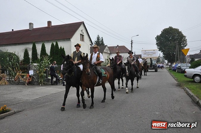 Zdjęcie w galerii na portalu naszraciborz.pl: Korowód jak z Bieńkowic do Raciborza, czyli powiatowe dożynki 2014 wiadomości z regionu