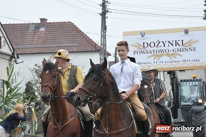 Zdjęcie w galerii na portalu naszraciborz.pl: Korowód jak z Bieńkowic do Raciborza, czyli powiatowe dożynki 2014 wiadomości z regionu