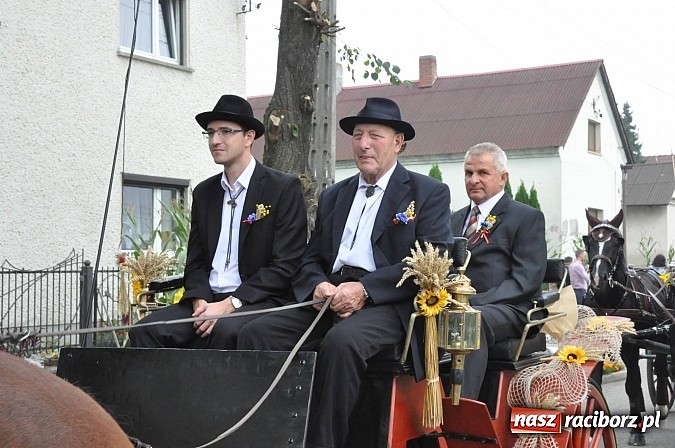 Zdjęcie w galerii na portalu naszraciborz.pl: Korowód jak z Bieńkowic do Raciborza, czyli powiatowe dożynki 2014 wiadomości z regionu