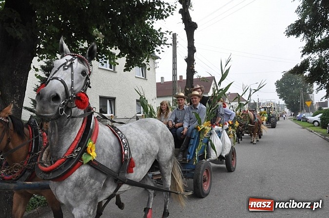 Zdjęcie w galerii na portalu naszraciborz.pl: Korowód jak z Bieńkowic do Raciborza, czyli powiatowe dożynki 2014 wiadomości z regionu