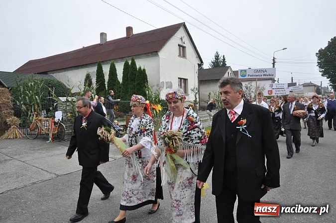 Zdjęcie w galerii na portalu naszraciborz.pl: Korowód jak z Bieńkowic do Raciborza, czyli powiatowe dożynki 2014 wiadomości z regionu