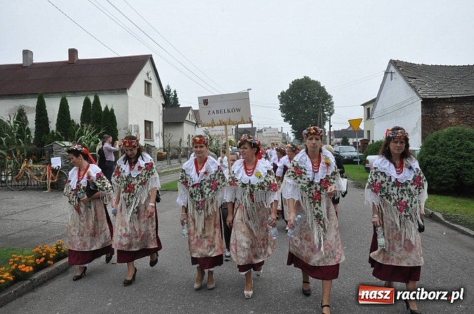 Zdjęcie w galerii na portalu naszraciborz.pl: Korowód jak z Bieńkowic do Raciborza, czyli powiatowe dożynki 2014 wiadomości z regionu