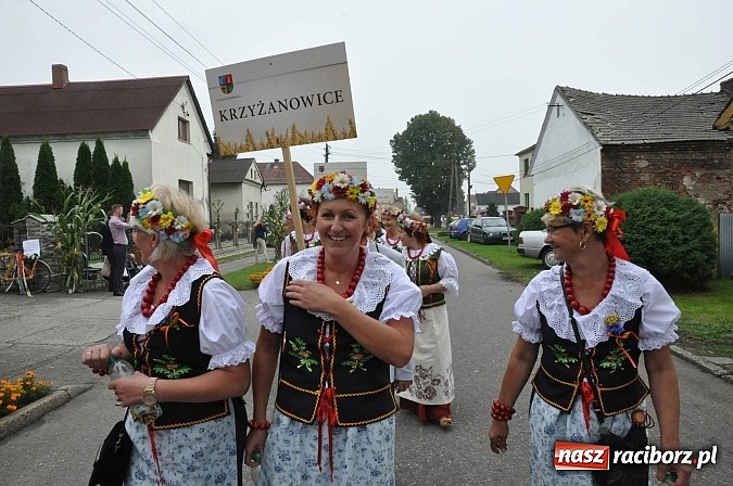 Zdjęcie w galerii na portalu naszraciborz.pl: Korowód jak z Bieńkowic do Raciborza, czyli powiatowe dożynki 2014 wiadomości z regionu