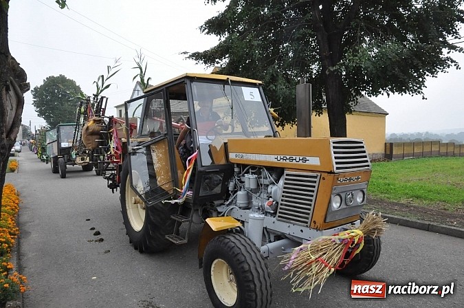Zdjęcie w galerii na portalu naszraciborz.pl: Korowód jak z Bieńkowic do Raciborza, czyli powiatowe dożynki 2014 wiadomości z regionu