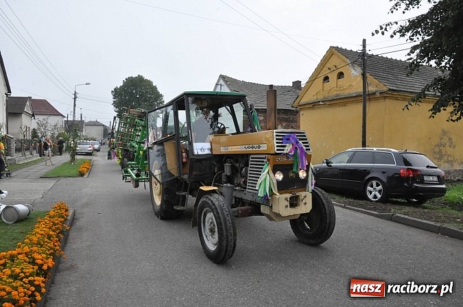 Zdjęcie w galerii na portalu naszraciborz.pl: Korowód jak z Bieńkowic do Raciborza, czyli powiatowe dożynki 2014 wiadomości z regionu
