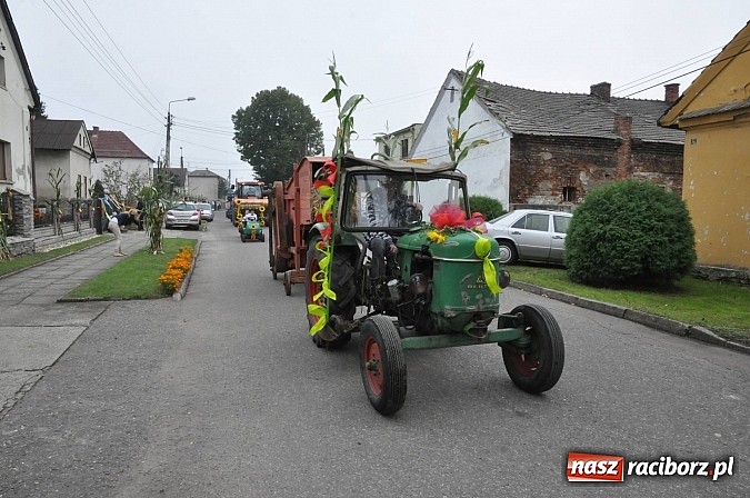 Zdjęcie w galerii na portalu naszraciborz.pl: Korowód jak z Bieńkowic do Raciborza, czyli powiatowe dożynki 2014 wiadomości z regionu