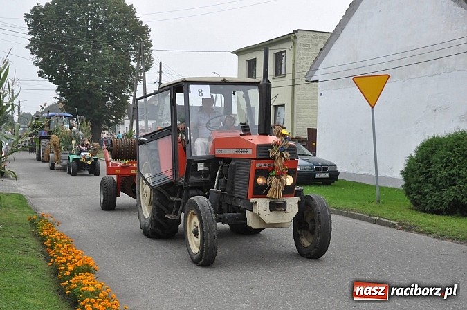Zdjęcie w galerii na portalu naszraciborz.pl: Korowód jak z Bieńkowic do Raciborza, czyli powiatowe dożynki 2014 wiadomości z regionu