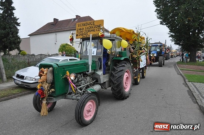 Zdjęcie w galerii na portalu naszraciborz.pl: Korowód jak z Bieńkowic do Raciborza, czyli powiatowe dożynki 2014 wiadomości z regionu