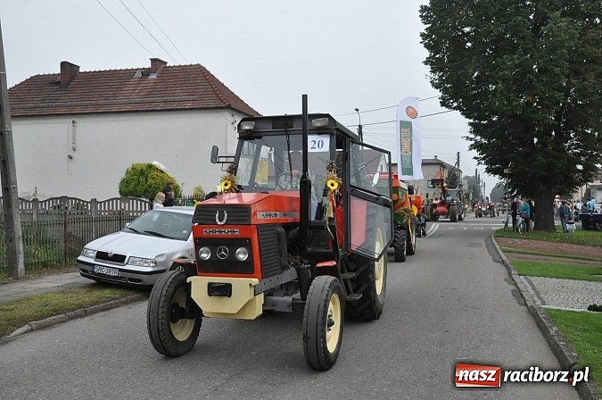 Zdjęcie w galerii na portalu naszraciborz.pl: Korowód jak z Bieńkowic do Raciborza, czyli powiatowe dożynki 2014 wiadomości z regionu