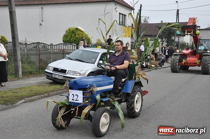 Zdjęcie w galerii na portalu naszraciborz.pl: Korowód jak z Bieńkowic do Raciborza, czyli powiatowe dożynki 2014 wiadomości z regionu