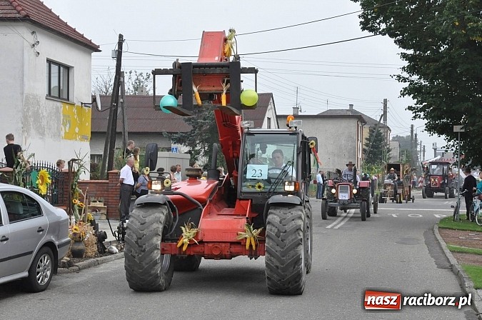 Zdjęcie w galerii na portalu naszraciborz.pl: Korowód jak z Bieńkowic do Raciborza, czyli powiatowe dożynki 2014 wiadomości z regionu