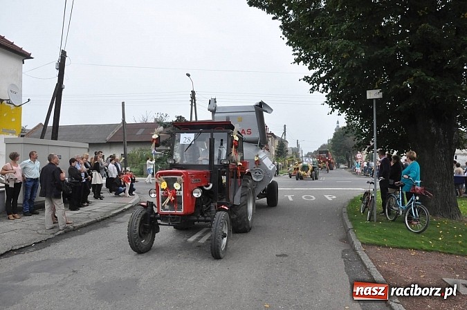 Zdjęcie w galerii na portalu naszraciborz.pl: Korowód jak z Bieńkowic do Raciborza, czyli powiatowe dożynki 2014 wiadomości z regionu