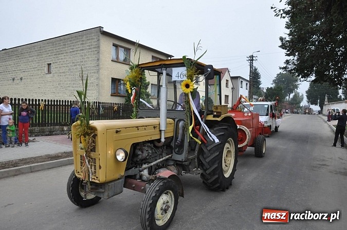Zdjęcie w galerii na portalu naszraciborz.pl: Korowód jak z Bieńkowic do Raciborza, czyli powiatowe dożynki 2014 wiadomości z regionu