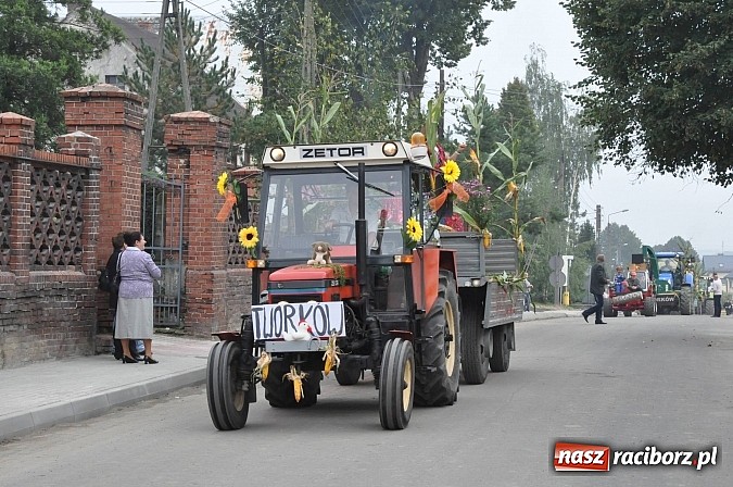 Zdjęcie w galerii na portalu naszraciborz.pl: Korowód jak z Bieńkowic do Raciborza, czyli powiatowe dożynki 2014 wiadomości z regionu