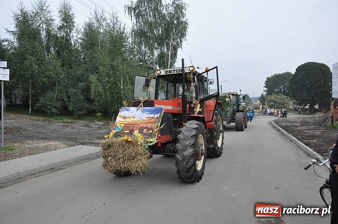 Zdjęcie w galerii na portalu naszraciborz.pl: Korowód jak z Bieńkowic do Raciborza, czyli powiatowe dożynki 2014 wiadomości z regionu