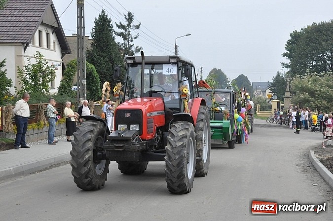 Zdjęcie w galerii na portalu naszraciborz.pl: Korowód jak z Bieńkowic do Raciborza, czyli powiatowe dożynki 2014 wiadomości z regionu