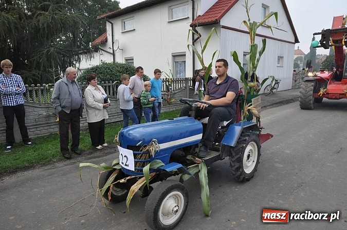 Zdjęcie w galerii na portalu naszraciborz.pl: Korowód jak z Bieńkowic do Raciborza, czyli powiatowe dożynki 2014 wiadomości z regionu
