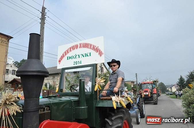 Zdjęcie w galerii na portalu naszraciborz.pl: Korowód jak z Bieńkowic do Raciborza, czyli powiatowe dożynki 2014 wiadomości z regionu